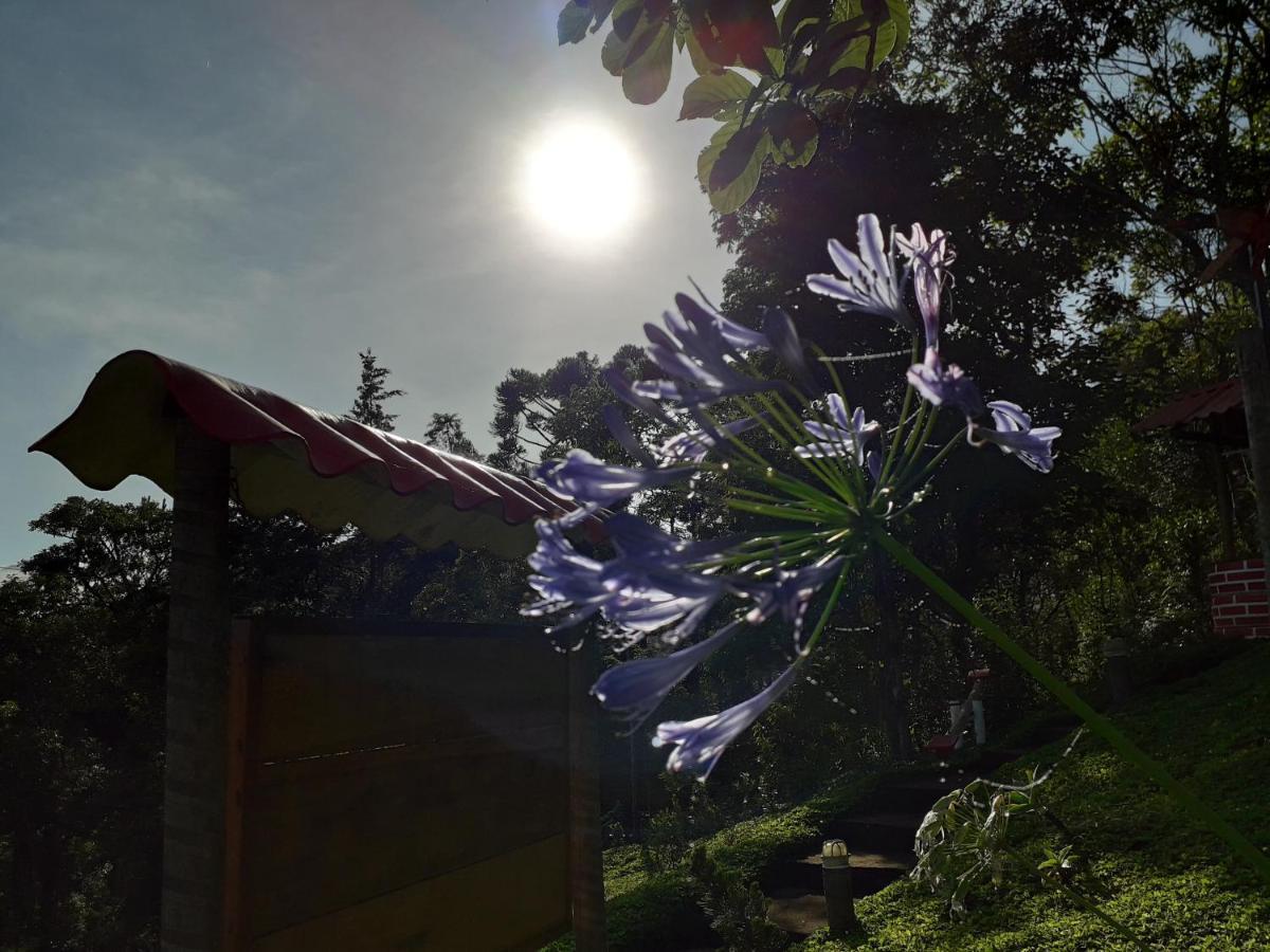 Recanto Maua - Chale Amor Perfeito Visconde De Maua Dış mekan fotoğraf